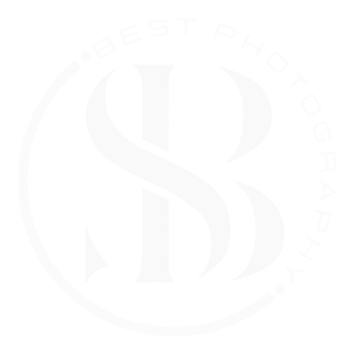light logo